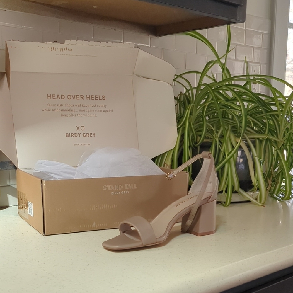 NWT Birdy Grey Women's Tan Block Heel Sandals